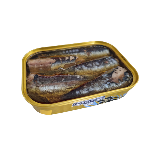 Jahrgangssardinen 2024 | Flore Betty - Le Marin | Pointe de Penmarc'h | Douarnenez | Frankreich