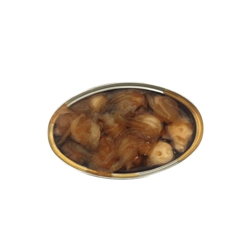 Oktopus-Medaillons | Galizischer Marinade | Ramon Pena |Ribadumia-Pontevedra | Spanien