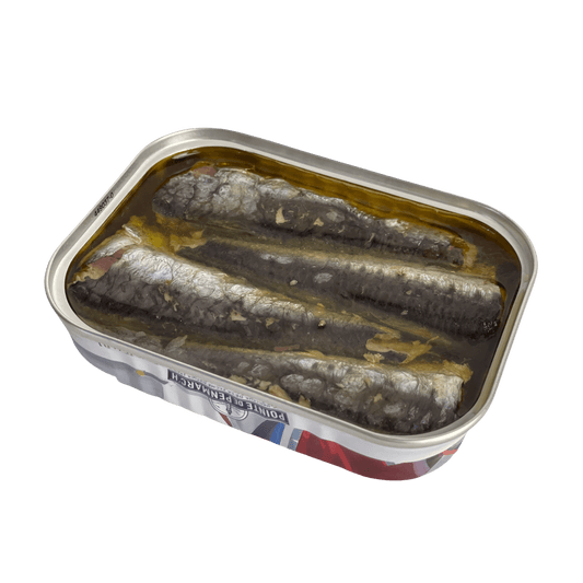 Jahrgangssardinen 2022 | Bruno Blouch | Pointe de Penmarc'h | Douarnenez | Frankreich