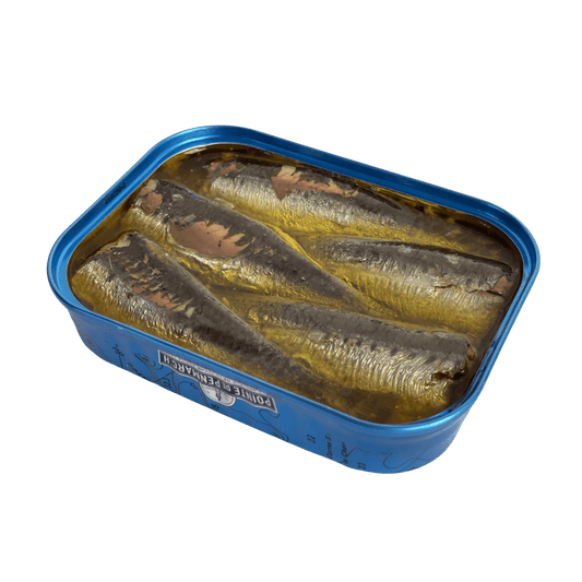 Jahrgangssardinen 2022 | Erika Raïo | Pointe de Penmarc'h | Douarnenez | Frankreich