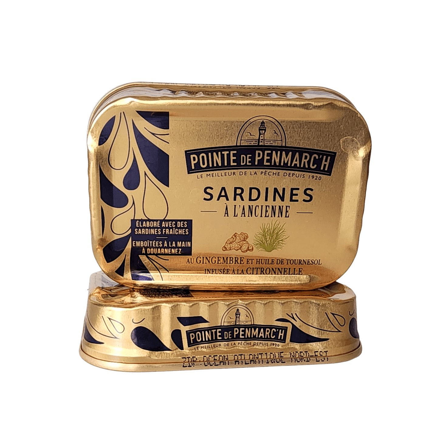 Sardinen | Ingwer und Zitronengras in Sonnenblumenöl | Point De Penmarc'h | | Frankreich