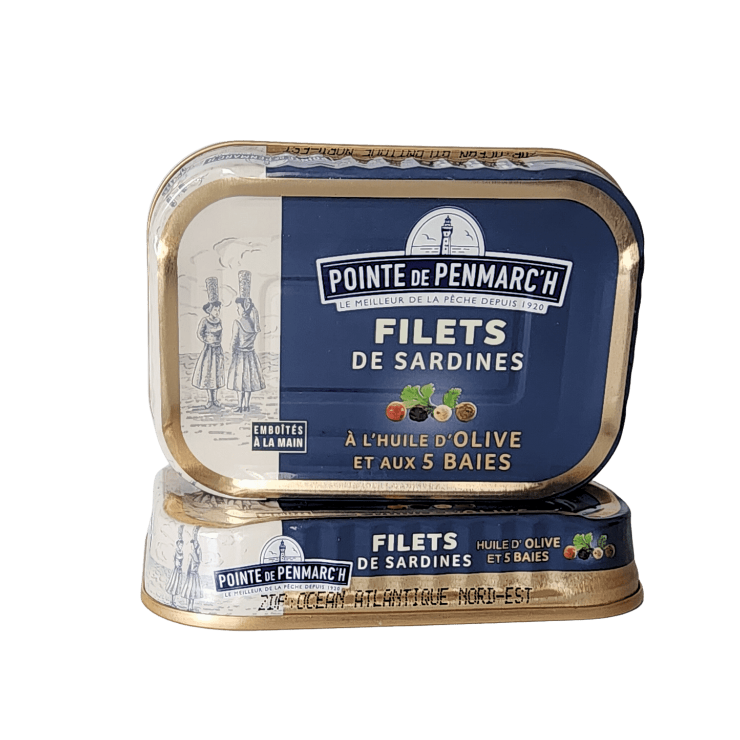 Sardinenfilets in 5 Körner Marinade und Olivenöl | Pointe de Penmarc'h | Douarnenez | Frankreich
